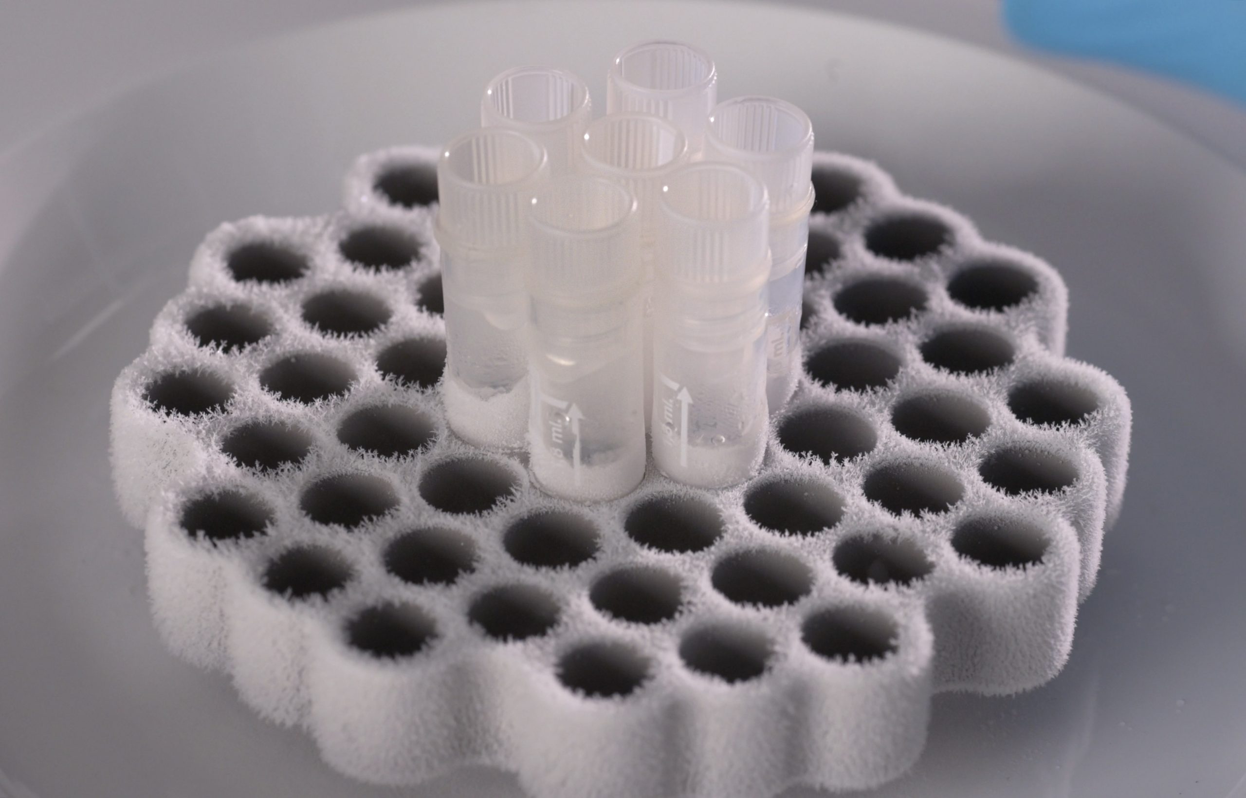 Controlled rate freeze and thaw system (CRFT) - Image 2